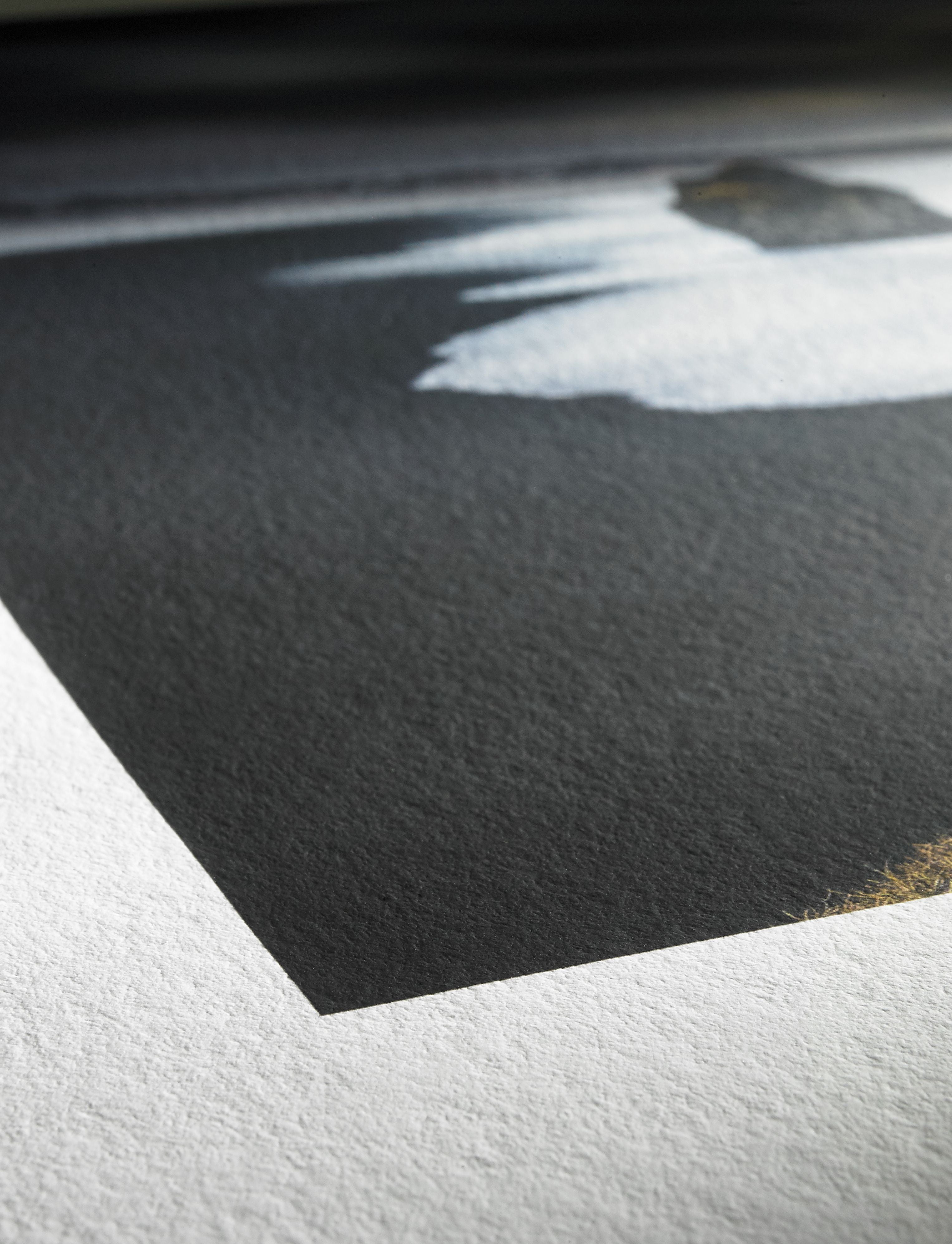 Hahnemühle - Photo Rag® Bright White